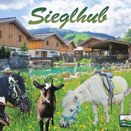 Sieglhub Chalets - Appartements - Hotel Φλαχάου Εξωτερικό φωτογραφία