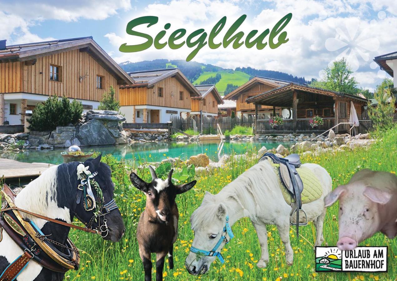 Sieglhub Chalets - Appartements - Hotel Φλαχάου Εξωτερικό φωτογραφία